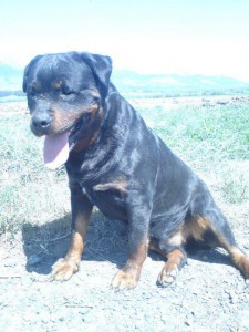 rtw.jpg